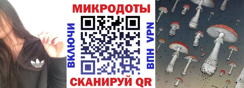kraken   Нижние Серги  Псилоцибиновые грибы MAGIC MUSHROOMS  купить  